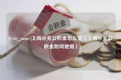 巴彦淖尔市上海补充公积金怎么交（上海补充公积金如何使用）